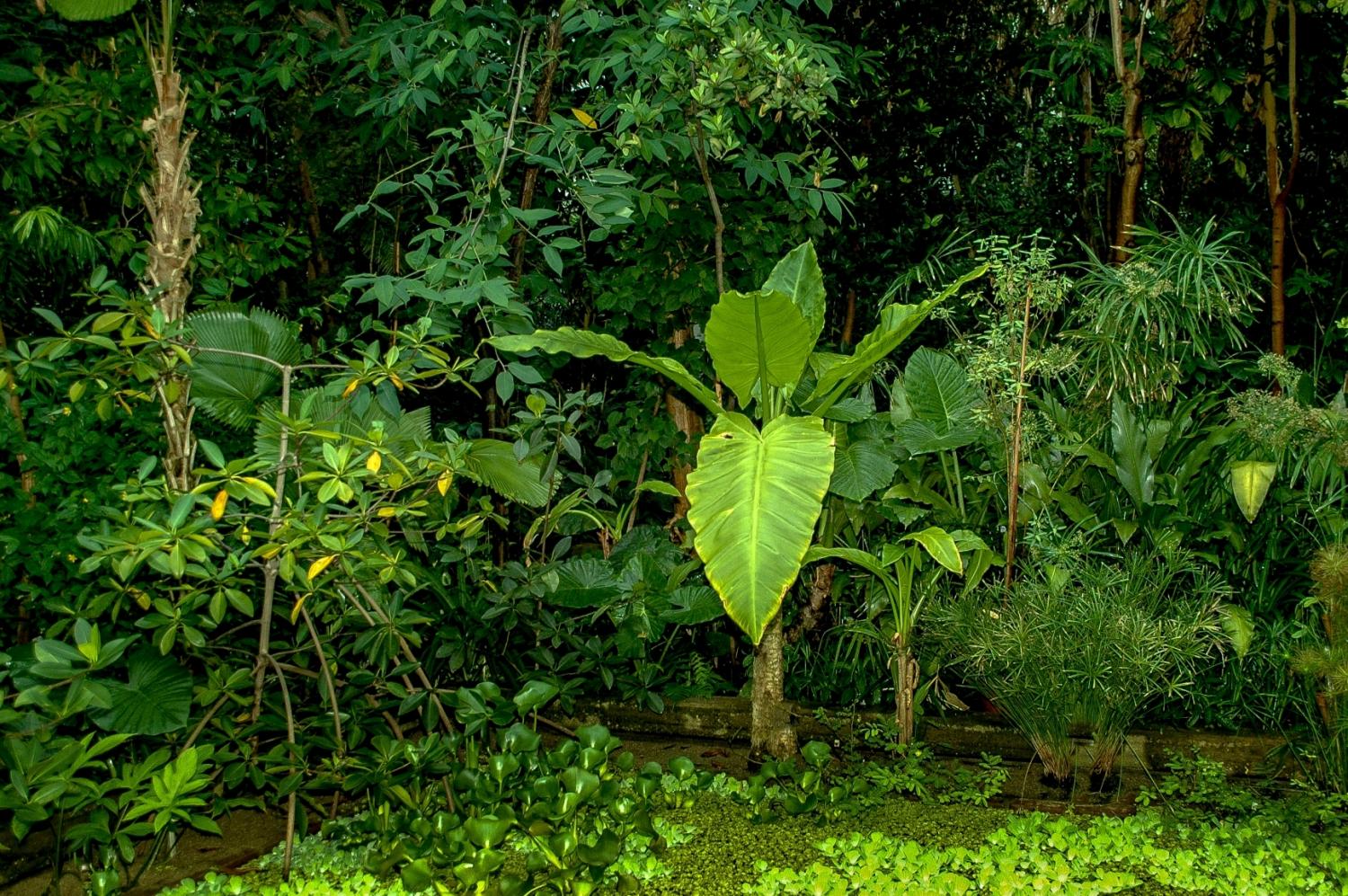 wdf wupper digitale fotografie Botanischer Garten RUB