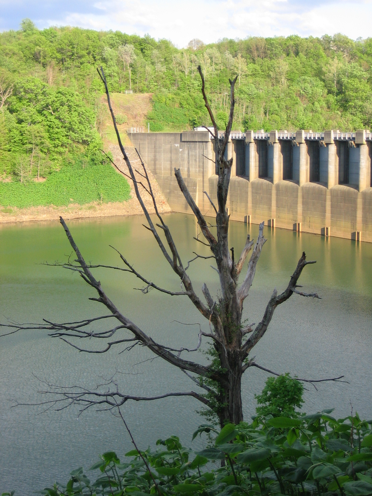 Conemaugh Dam (Pennsylvania)