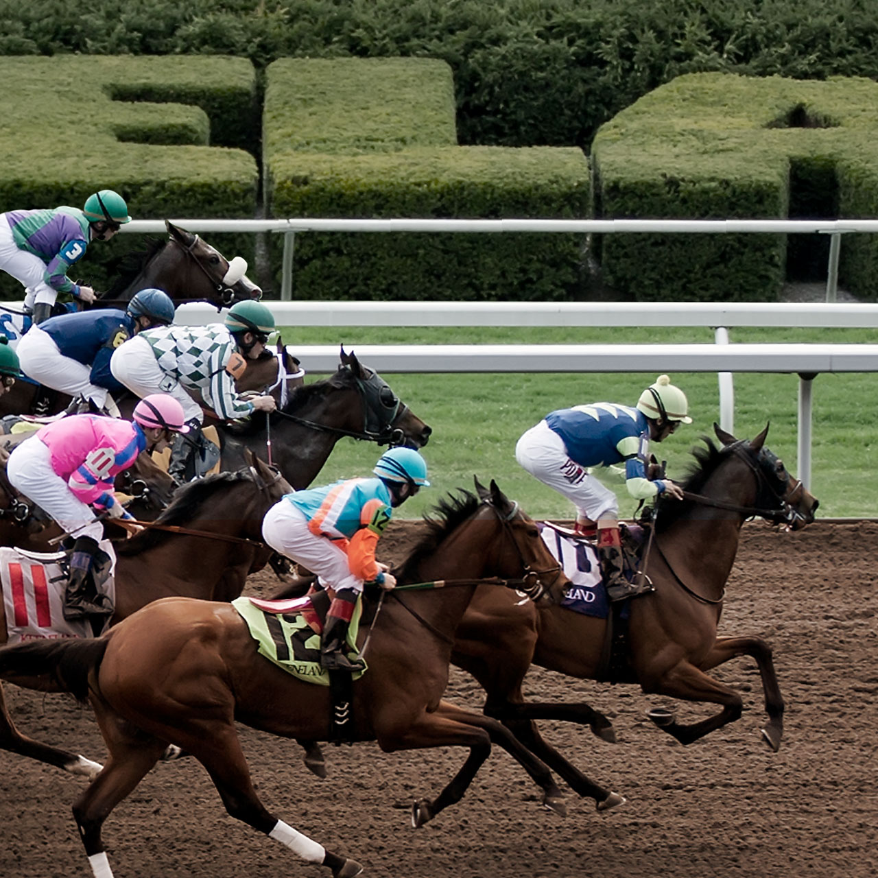Handicapping Resources Keeneland