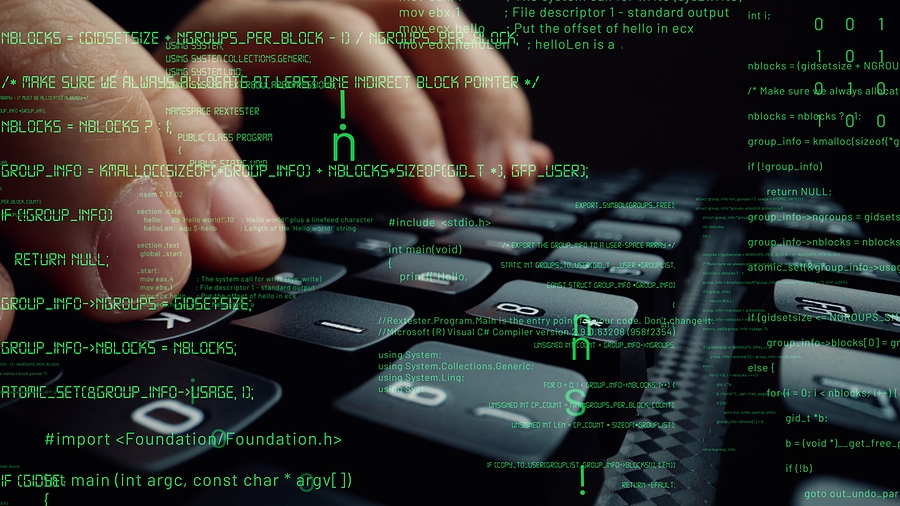 The Top 12 Programming Languages for Web Development