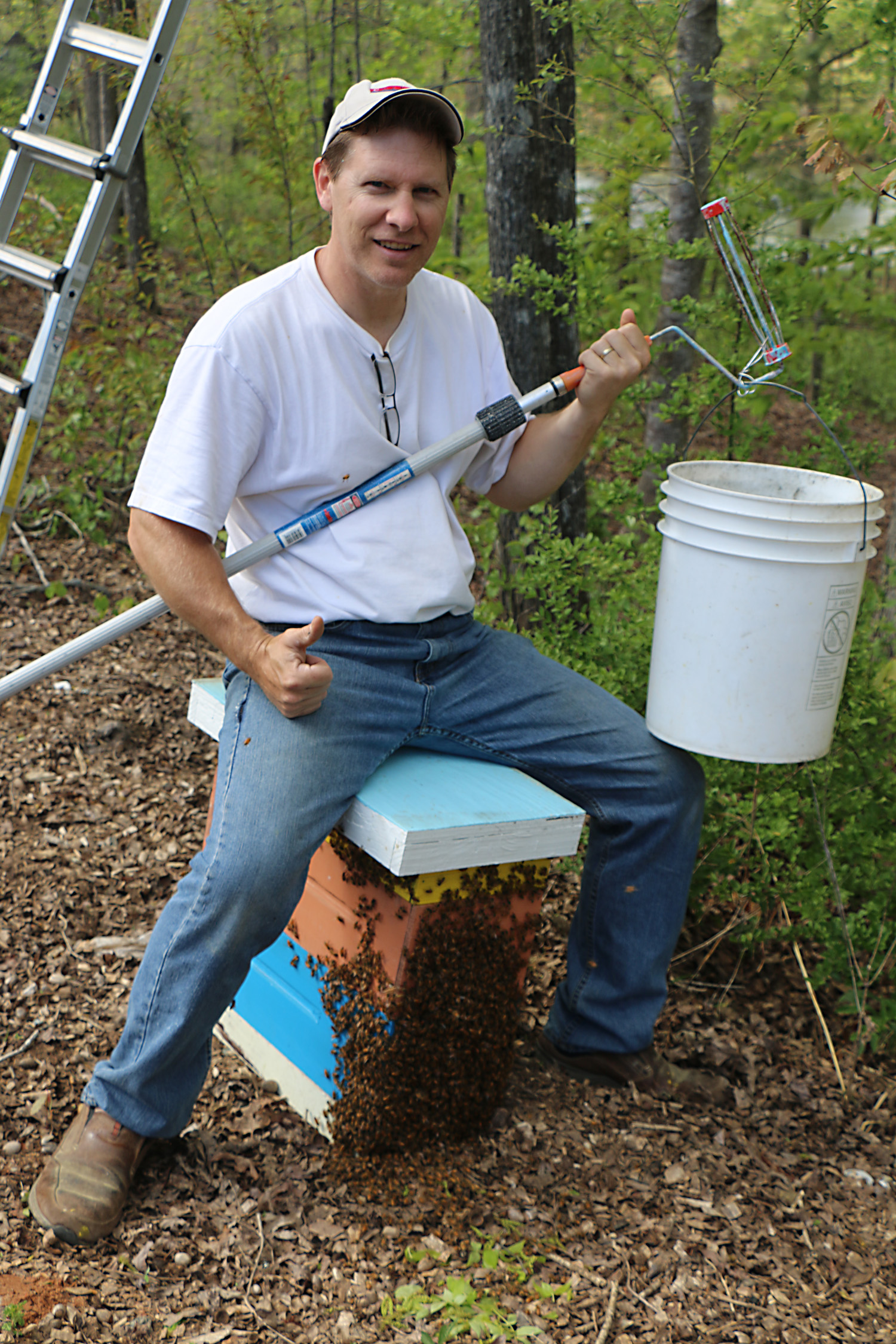 Swarm Catching With a 5Gallon Bucket Keeping Backyard Bees
