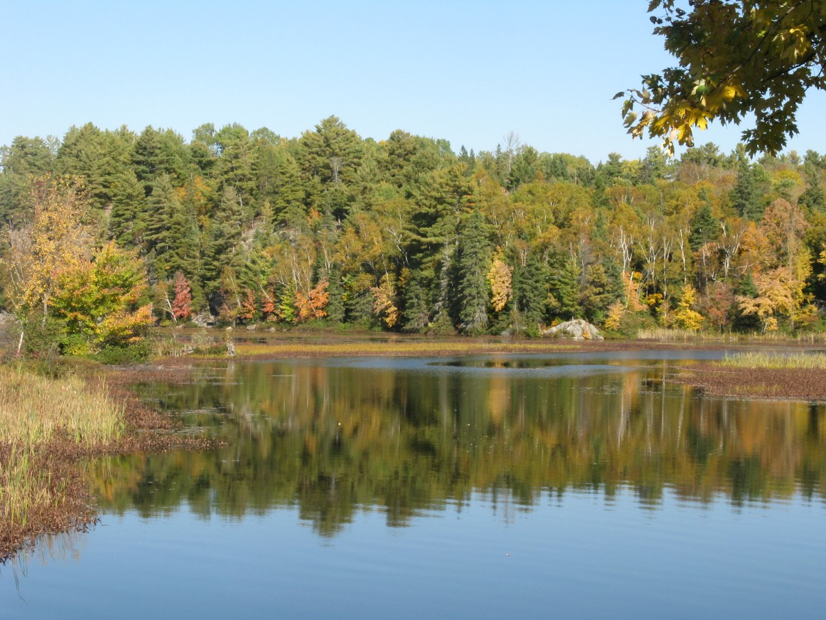 Pictures In & Around Port Loring Ontario THE WALTERS POST