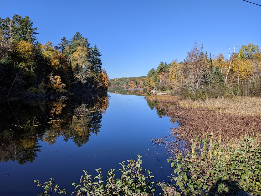 Fall Leaves In Port Loring Ontario Canada Oct 11/2022 THE WALTERS POST