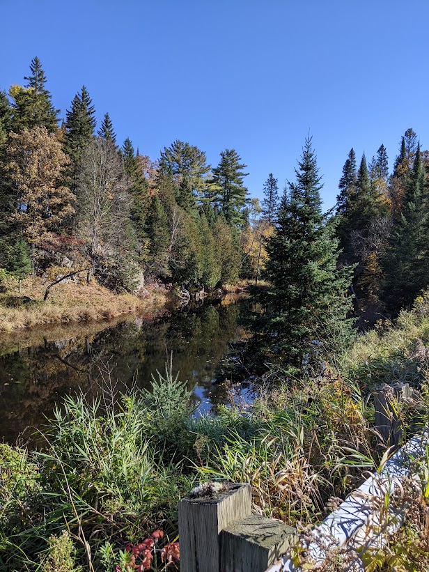 Fall Leaves In Port Loring Ontario Canada Oct 11/2022 THE WALTERS POST