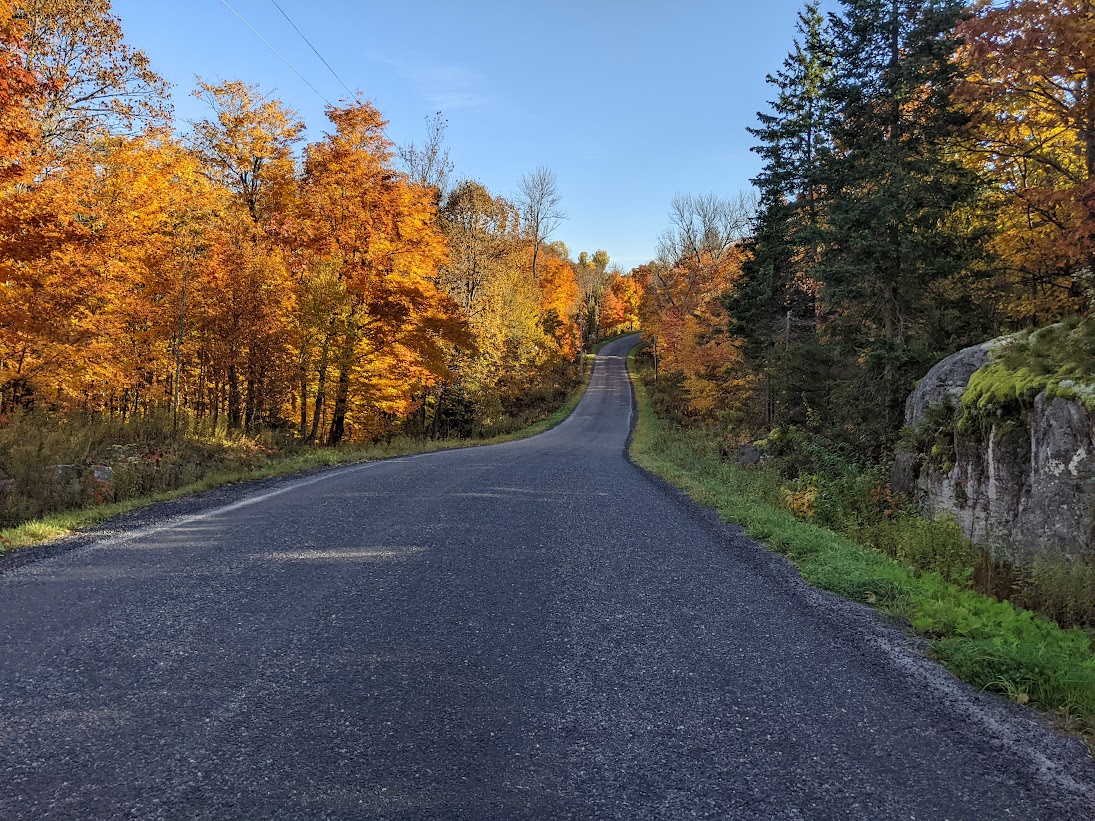 Fall Leaves In Port Loring Ontario Canada Oct 11/2022 THE WALTERS POST