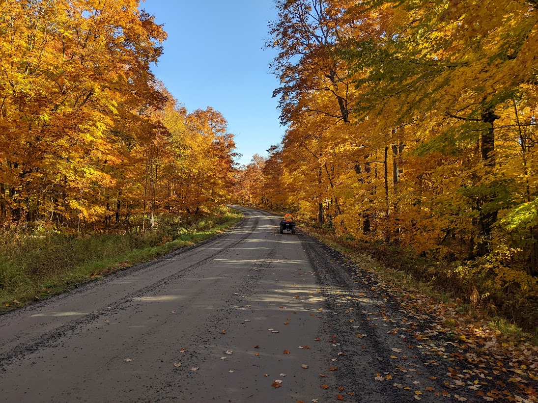 Fall Leaves In Port Loring Ontario Canada Oct 11/2022 THE WALTERS POST