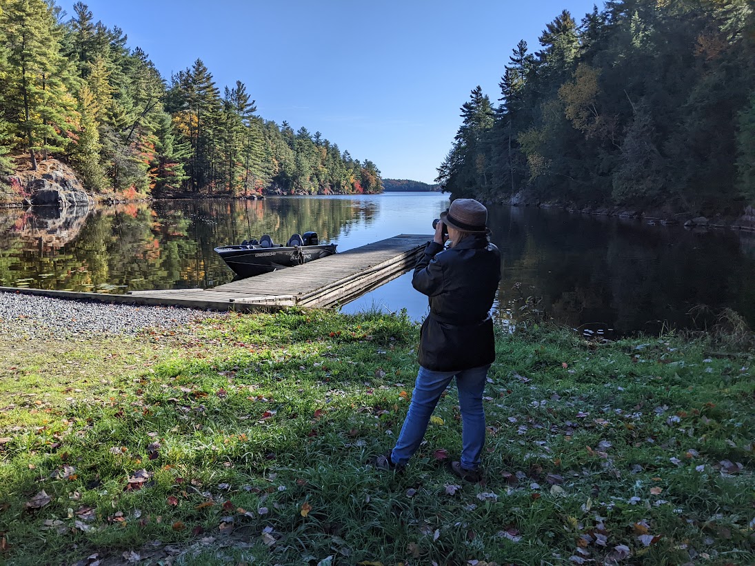 Fall Leaves In Port Loring Ontario Canada Oct 11/2022 THE WALTERS POST