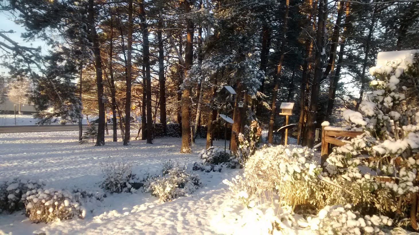 What’s Happening In & Around Port Loring Ontario, Canada on Nov 22/2022