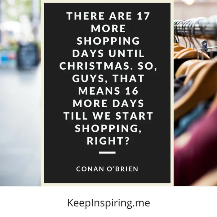 99 Funny Christmas Quotes To Make You Smile In The New Year