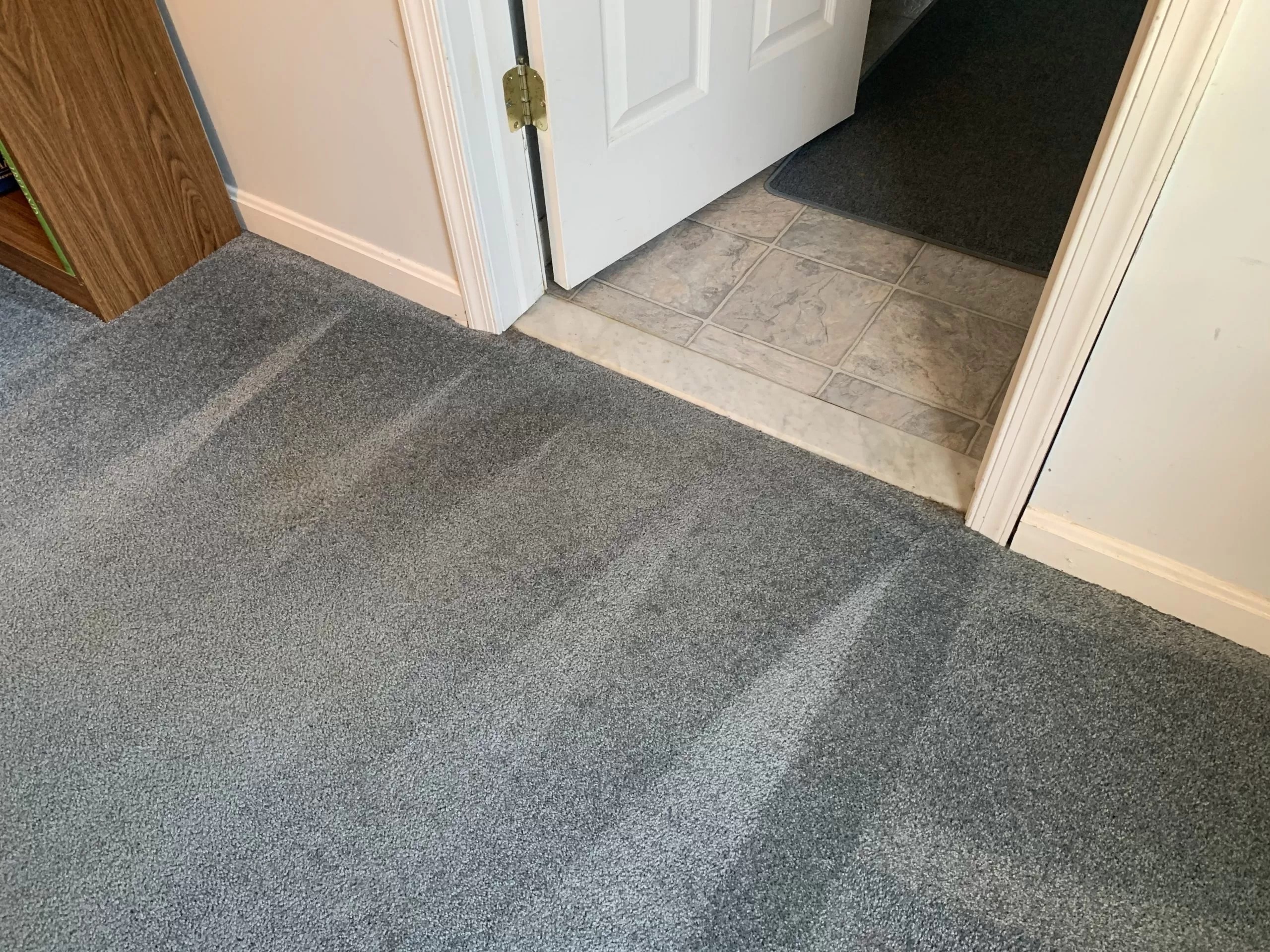 Professional Carpet Cleaning Services in Baltimore, Maryland