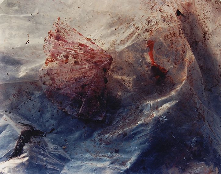 Keith Arnatt Estate works Pictures from a Rubbish Tip, 198889