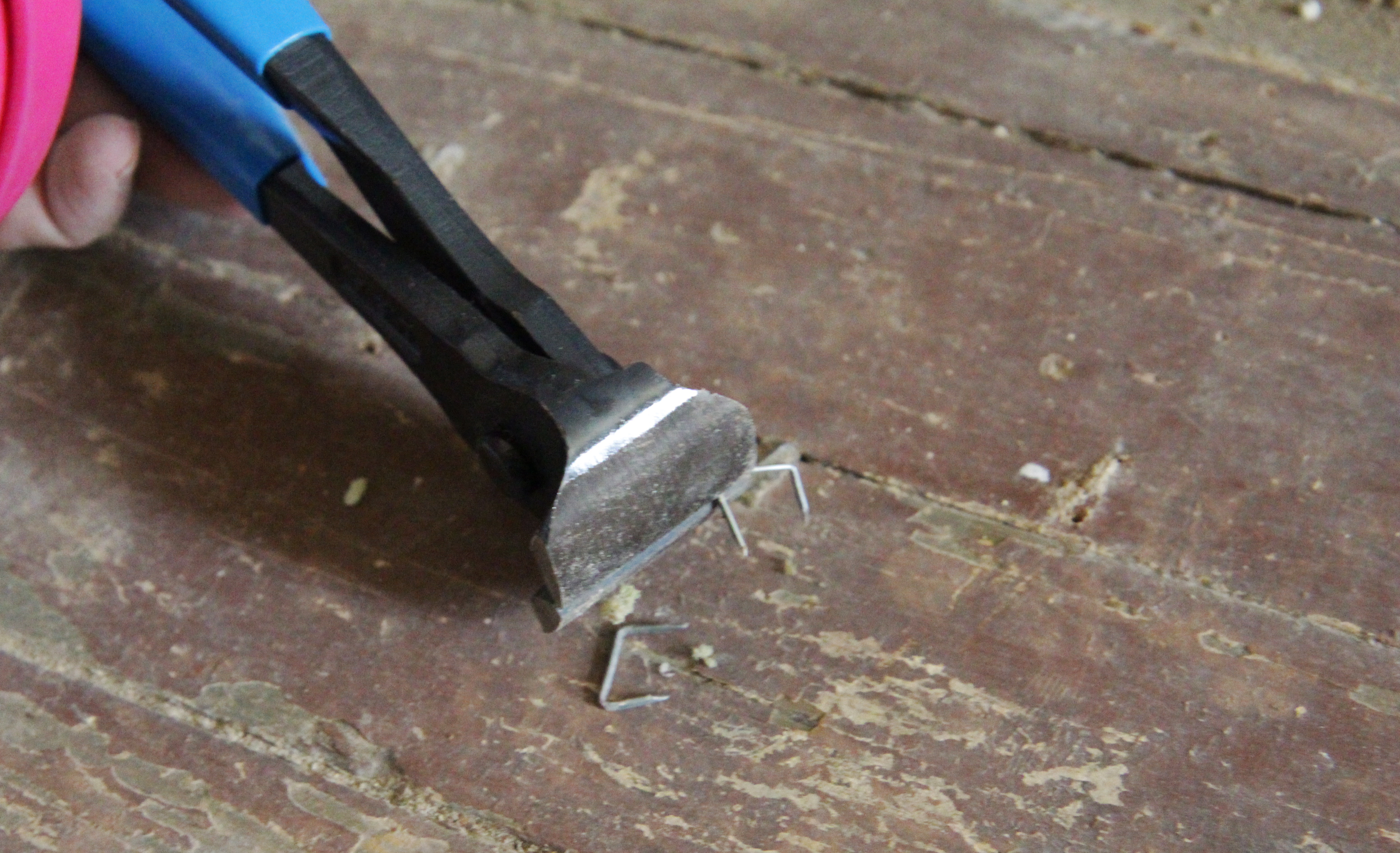 How To Get Old Carpet Padding Off Wood Floors Floor Roma