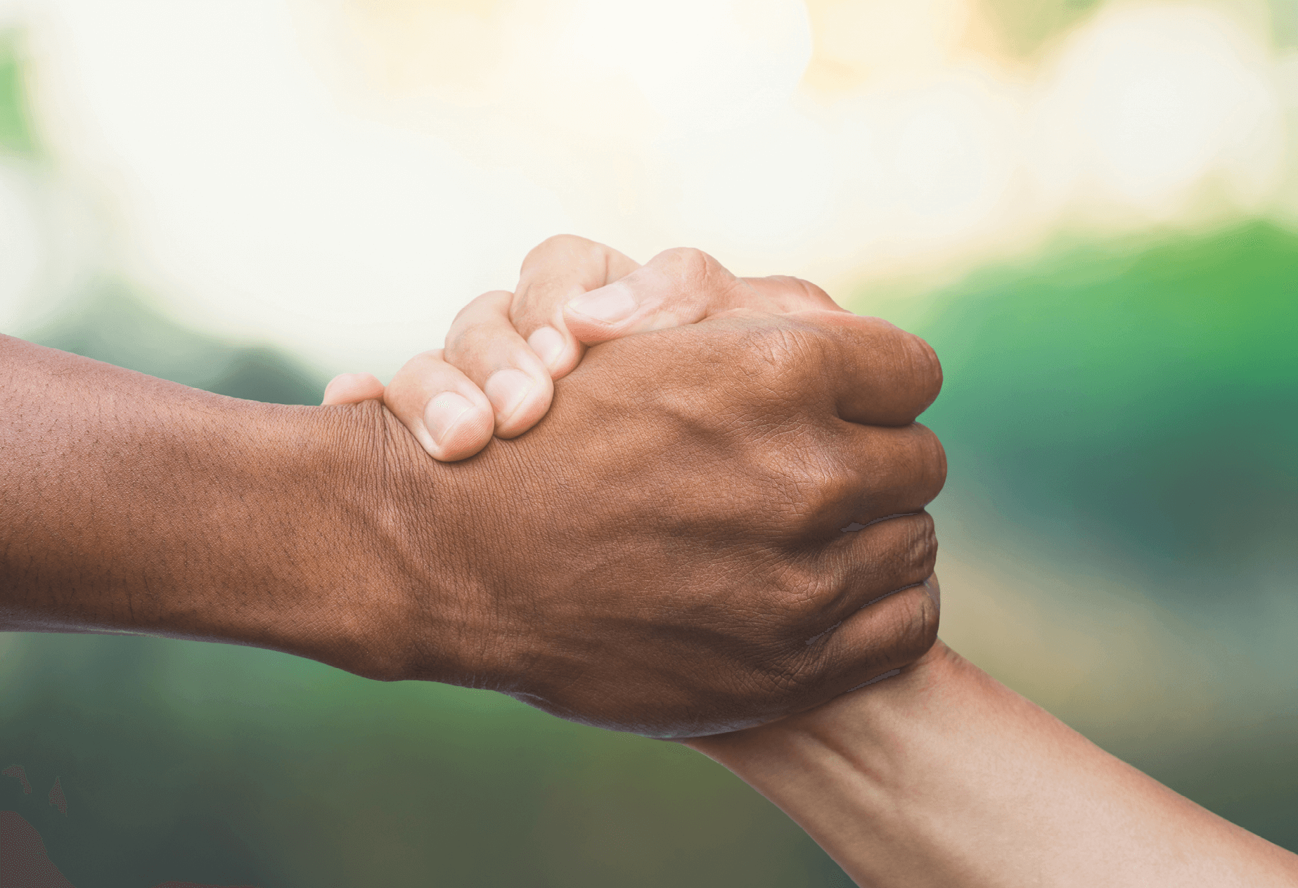 Committed - Keller Schroeder