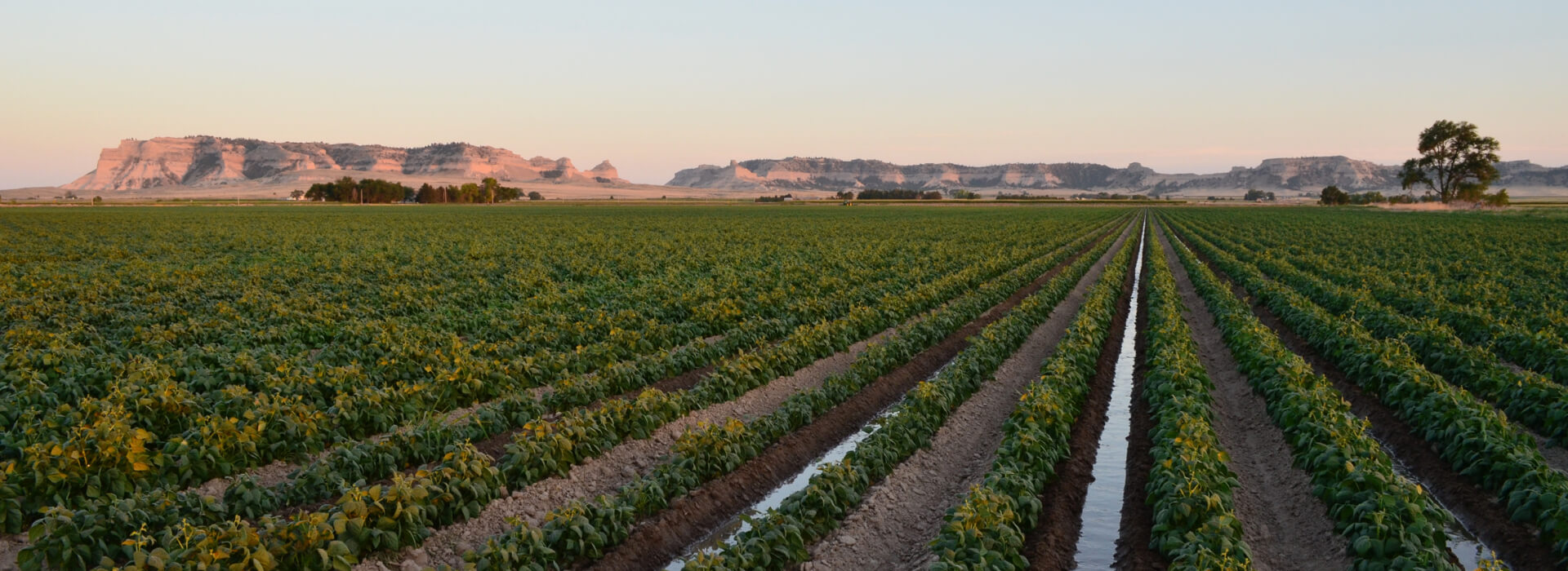 Kelley Bean Co. Meet The Kelley Bean Team!