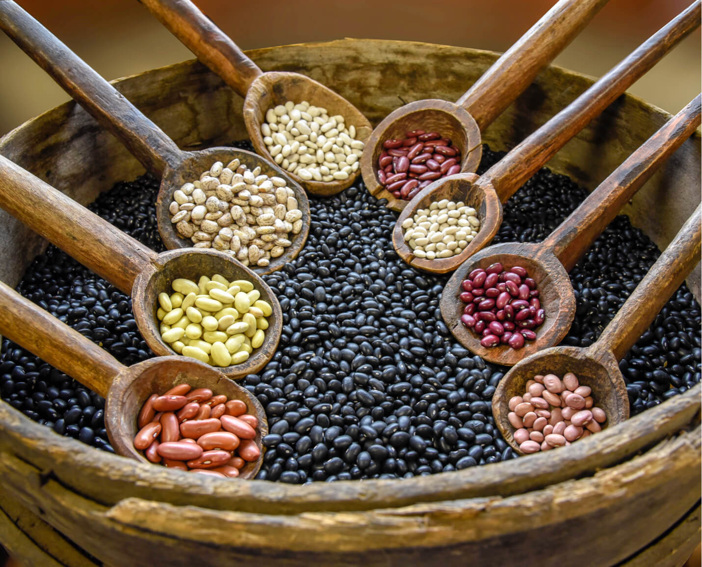 Kelley Bean Co. Beans Are A NutrientDense Superfood