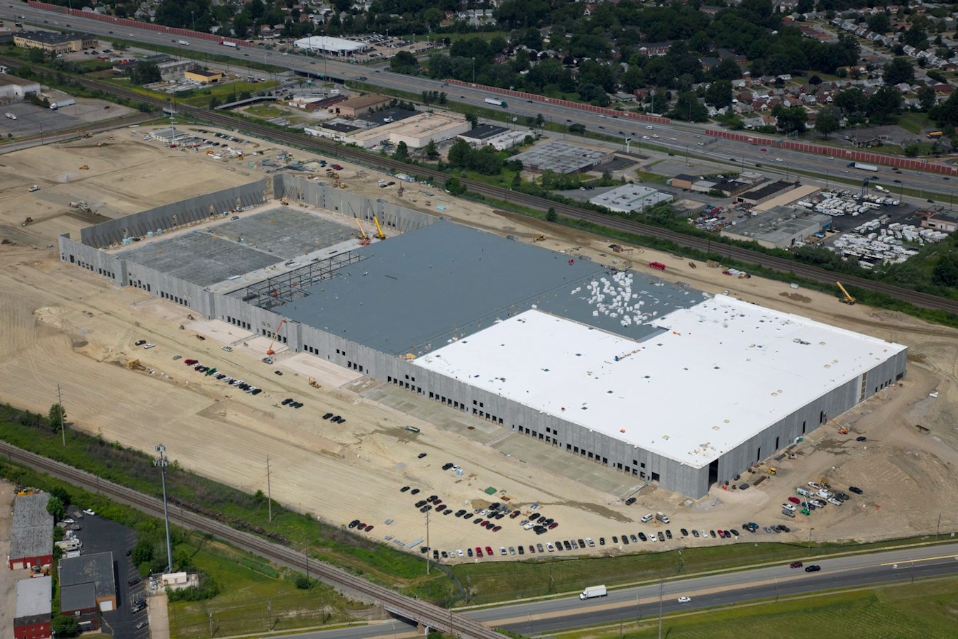 Amazon Bark, Euclid Kelley Steel