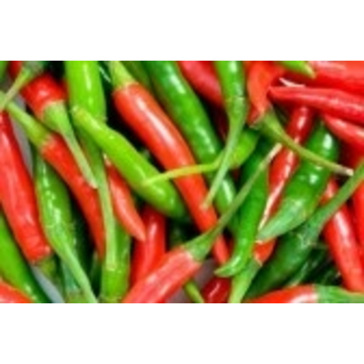 FI080614RP Peppers Jalapeno 60R/40G 1/8in Diced