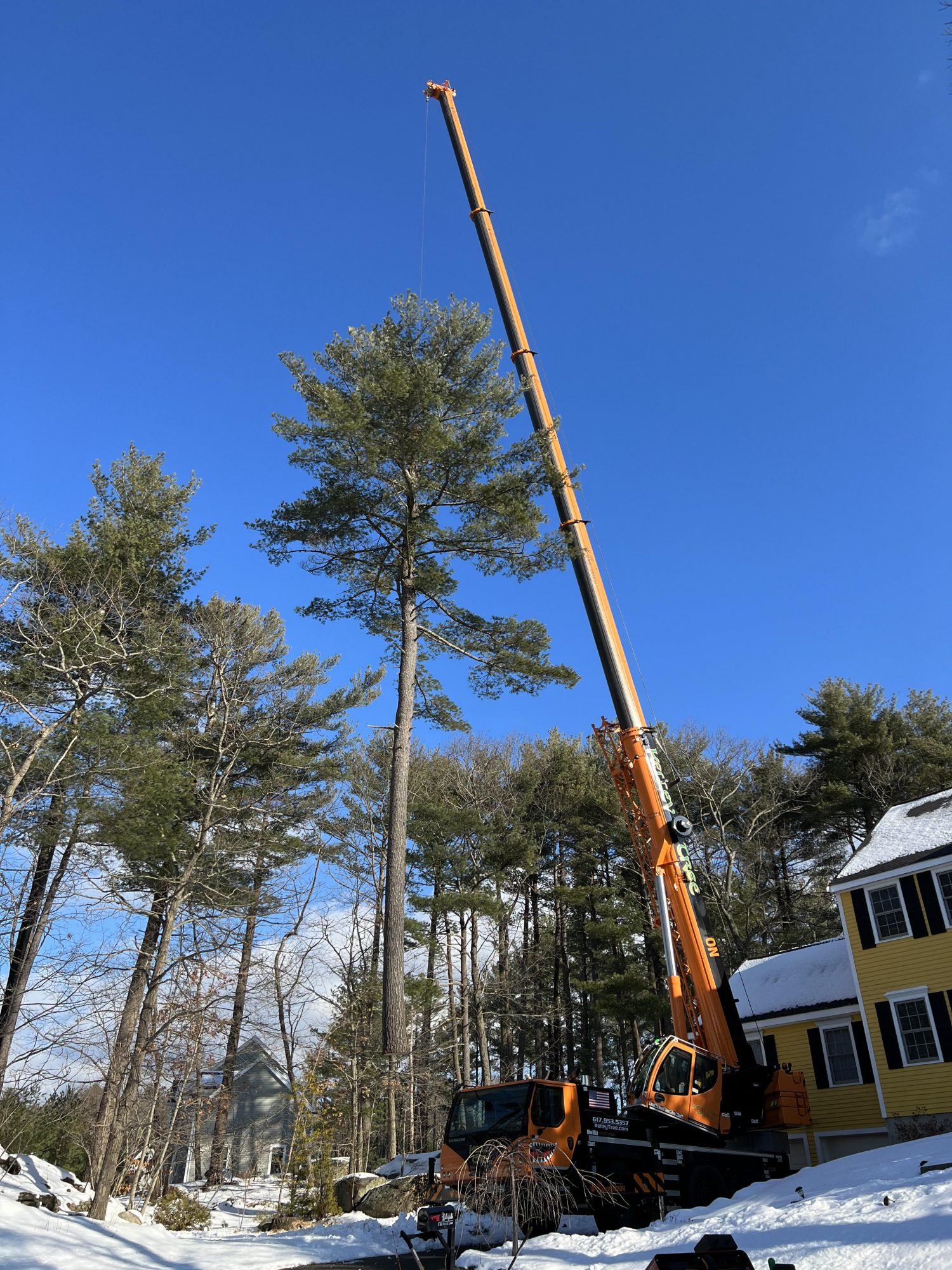 North Andover Tree Service Kelley Tree Service in MA