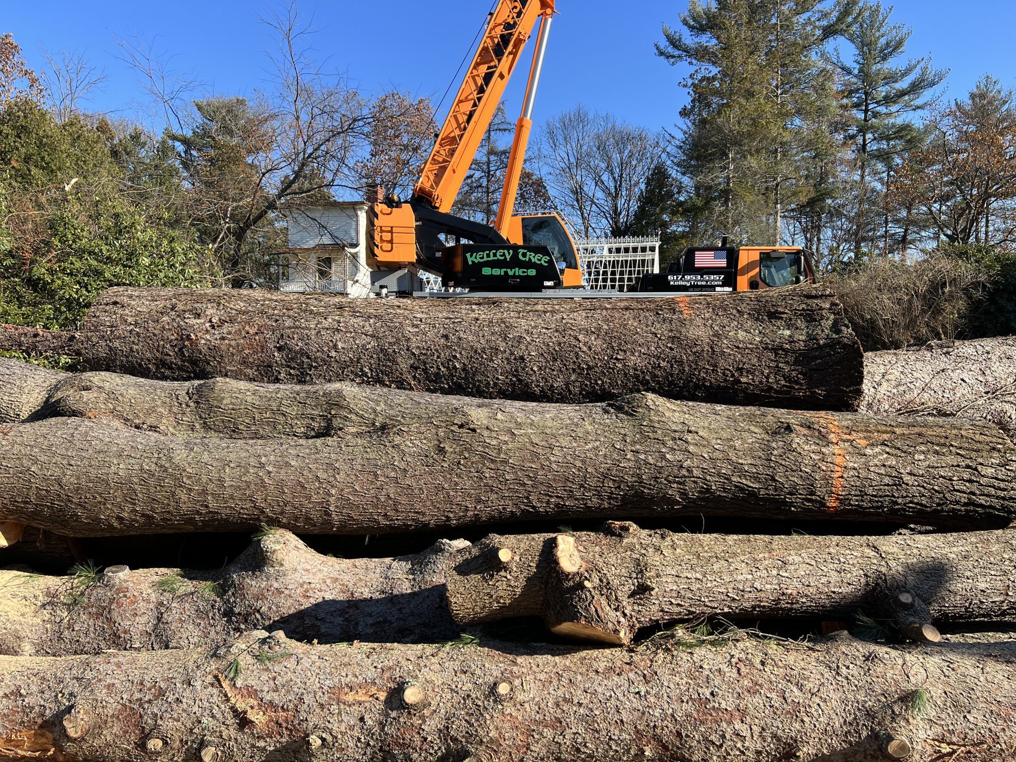 Tree Service Andover Tree Removal Andover Kelley Tree