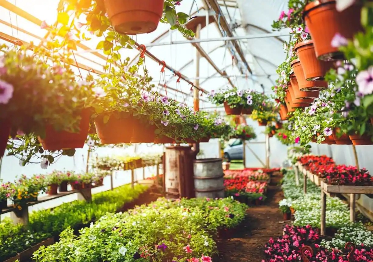 HOW TO AVOID SPRING GARDEN FEVER Kellogg Garden Products