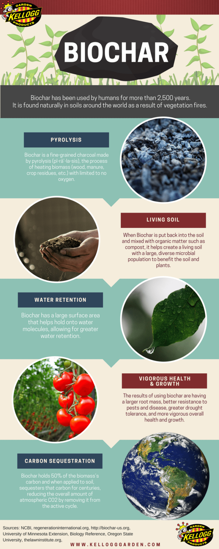 BENEFITS OF BIOCHAR Kellogg Garden Products