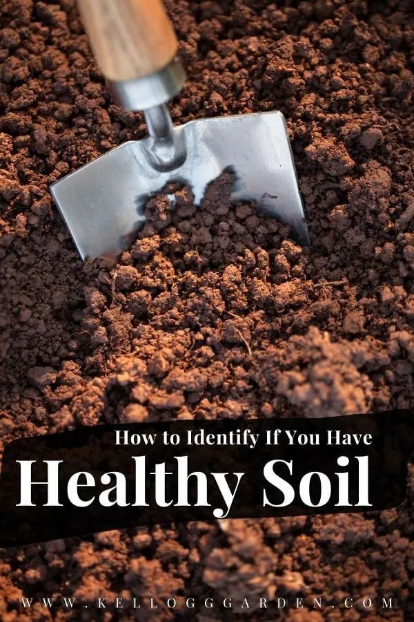 The Secrets to Healthy Soil Kellogg Garden Organics™