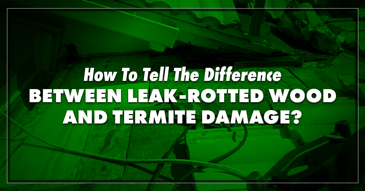 How To Tell The Difference Between LeakRotted Wood and Termite Damage