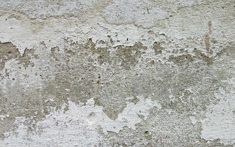 Never Paint Your Swimming Pool Kelly's Pool Care & Renovation