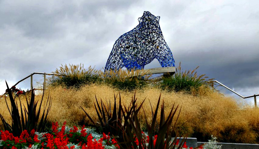 Stuart Park Wins Title of Canada's Greatest Public Space