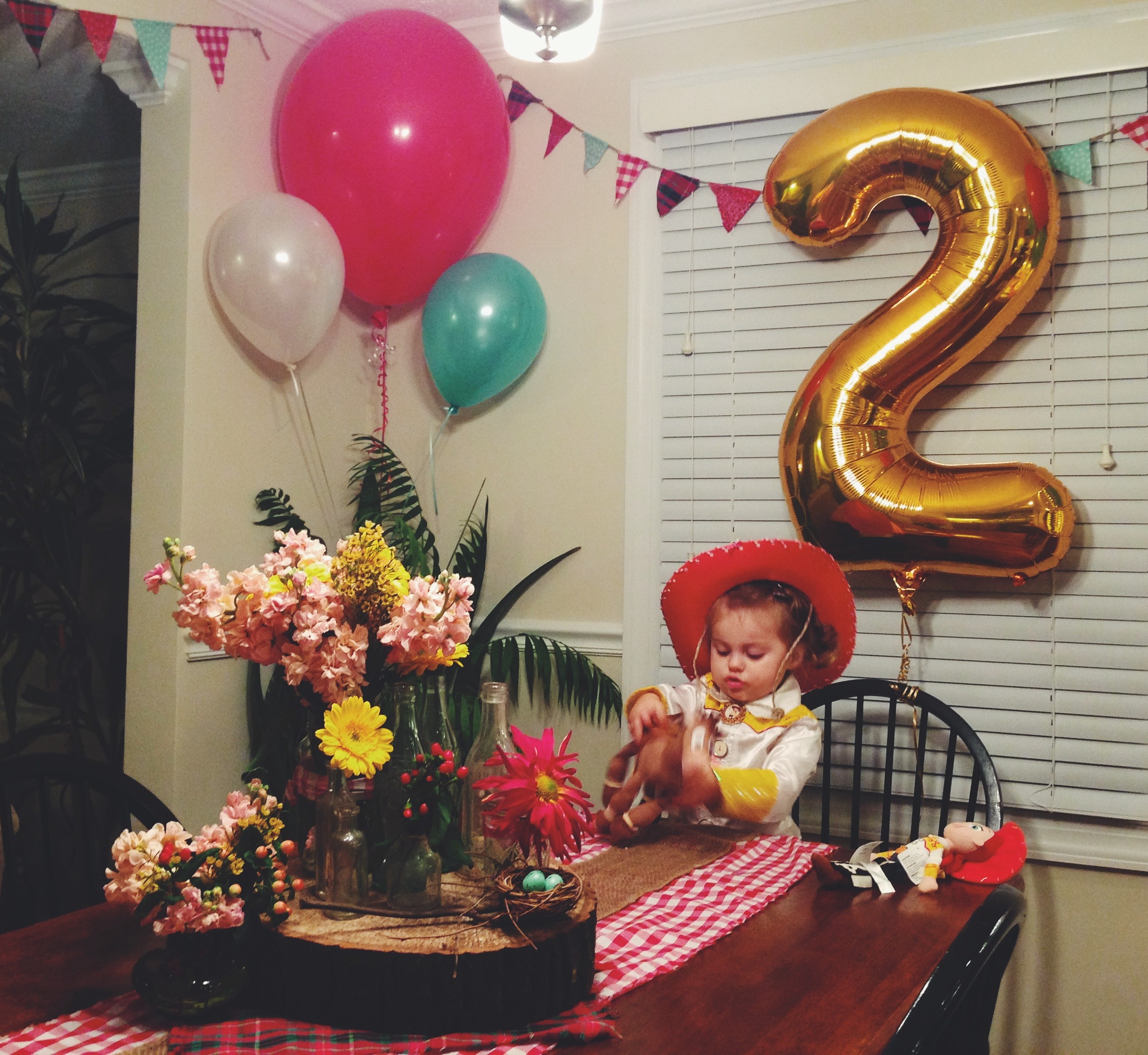 Gracie’s 2nd birthday party Kelsey Arrowood Northern Virginia (VA