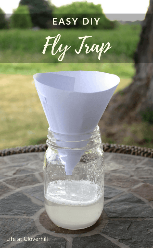 Easy DIY Fly Trap Ideas for the Home