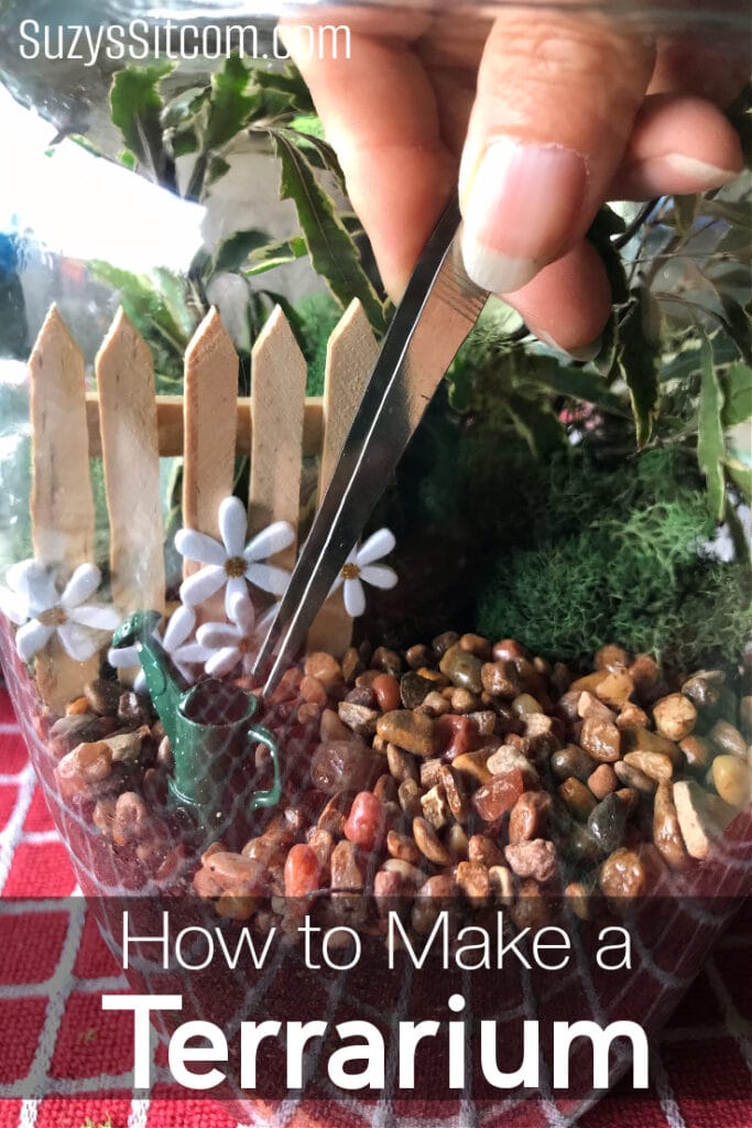 How to Make a Terrarium Ideas for the Home