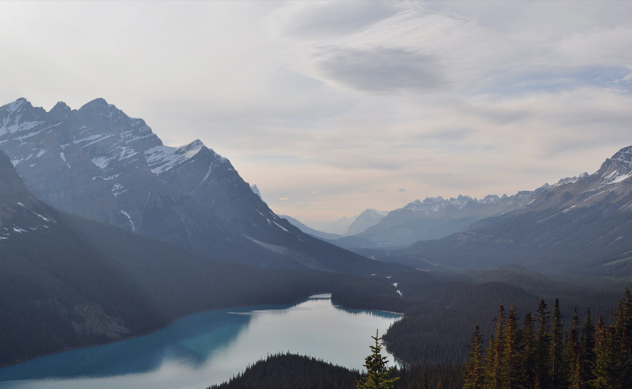 swiss Kendall Patrick