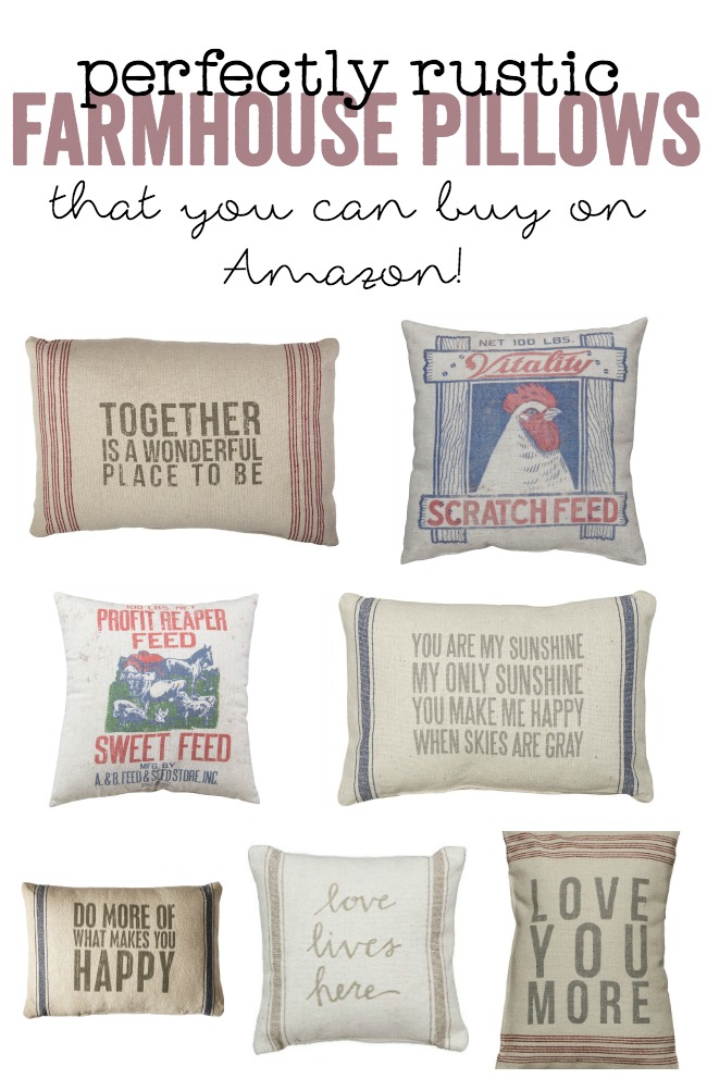 Farmhouse Pillows that you can buy on Amazon