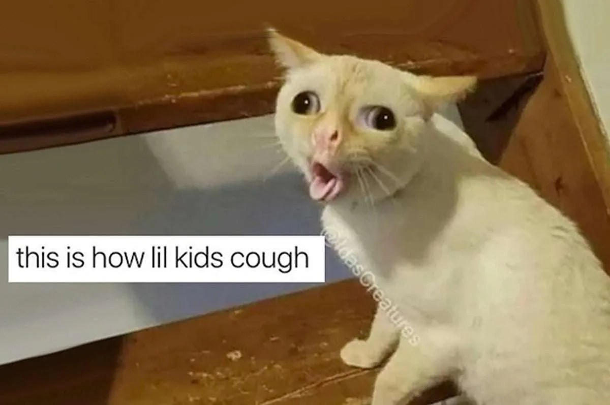 Answered Cat Coughing, Gagging, Hairballs, Choking, Hiccups & More