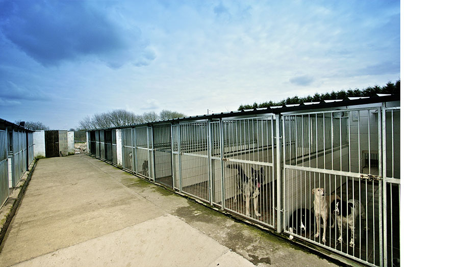 Kennel Ops Custom Kennel Management Software