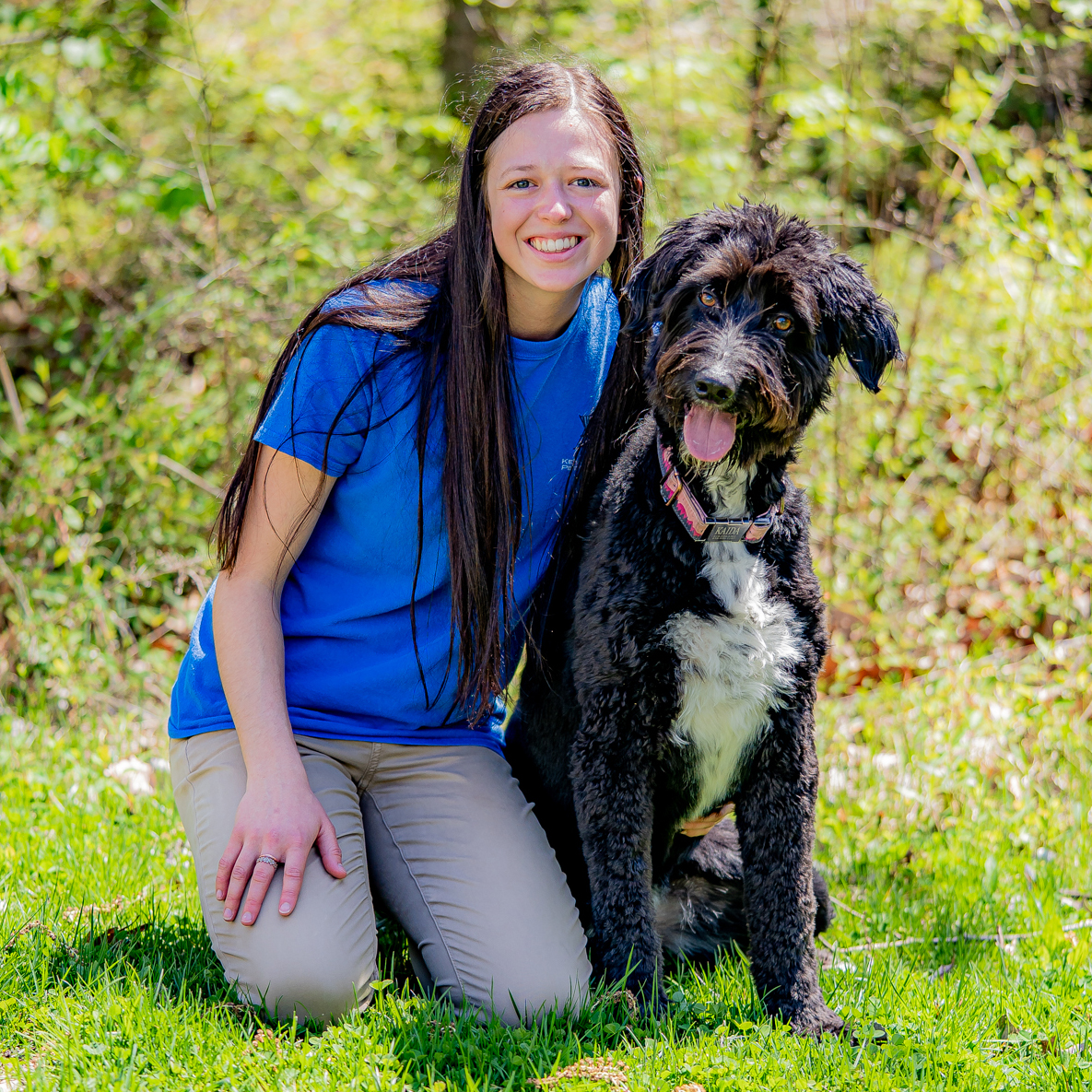 Kennelwood Pet Resort Maryville, IL Kennelwood Pet Resorts