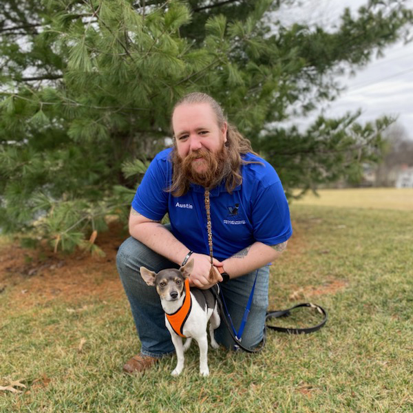 Kennelwood Pet Resort Chesterfield Kennelwood Pet Resorts