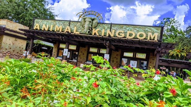 Guests are Now Able to Enjoy this Disney Show Earlier than Expected