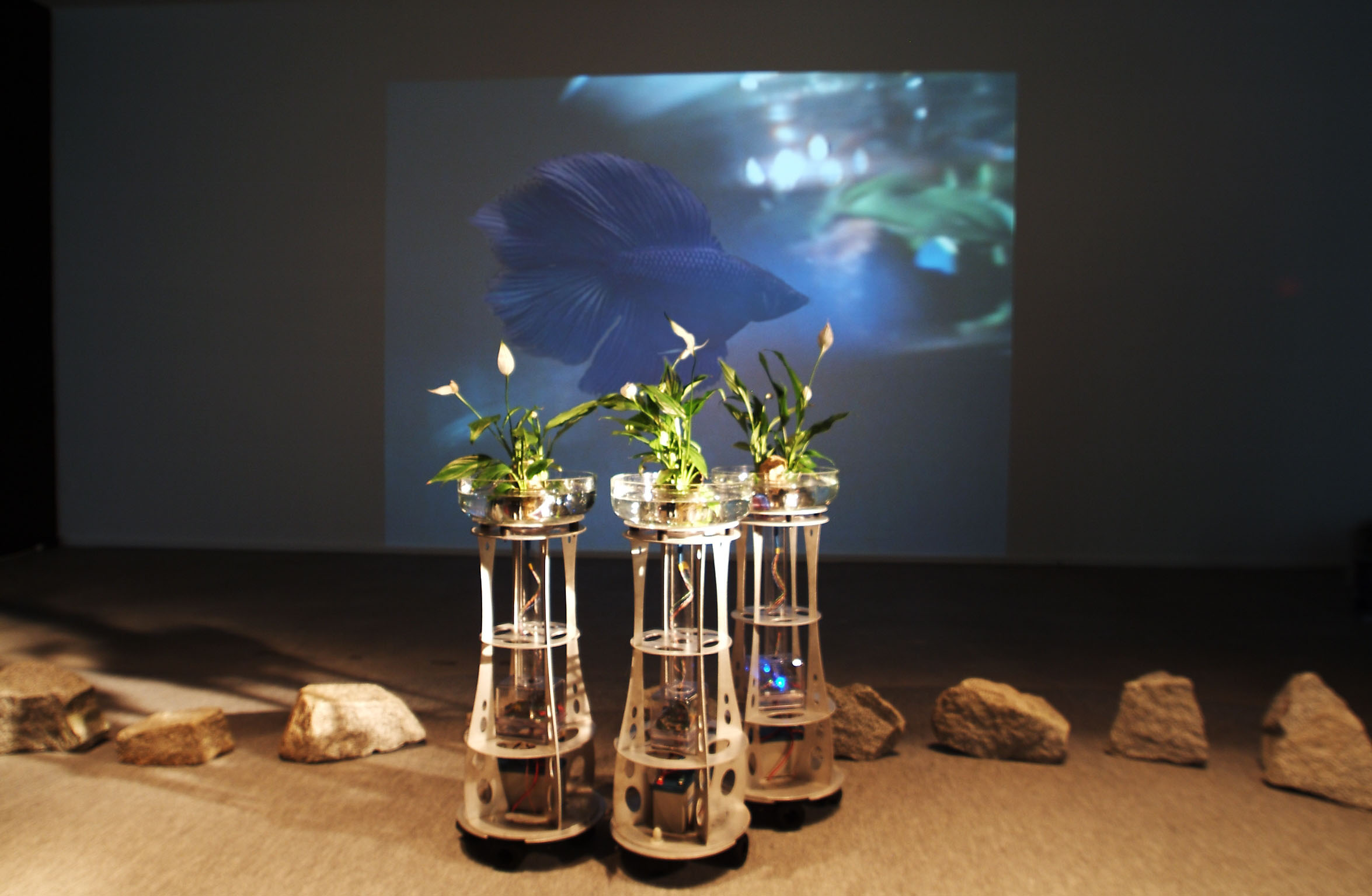 Augmented Fish Reality Ken Rinaldo