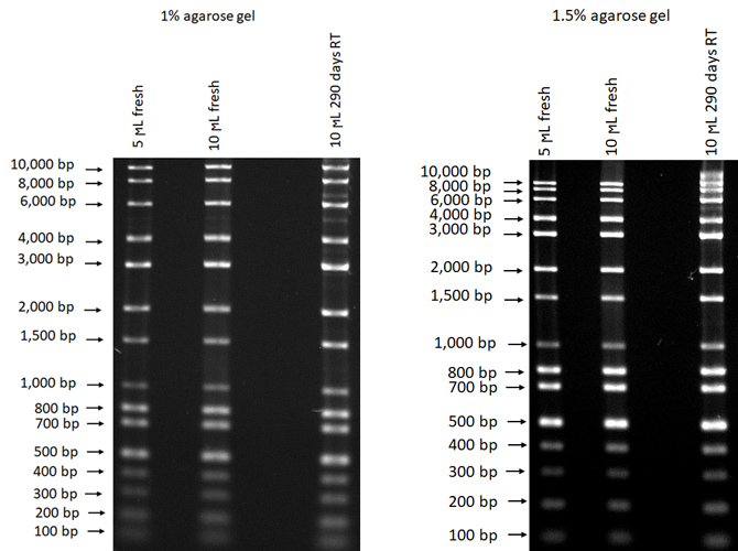 Broad Range DNA Ladder Kerafast
