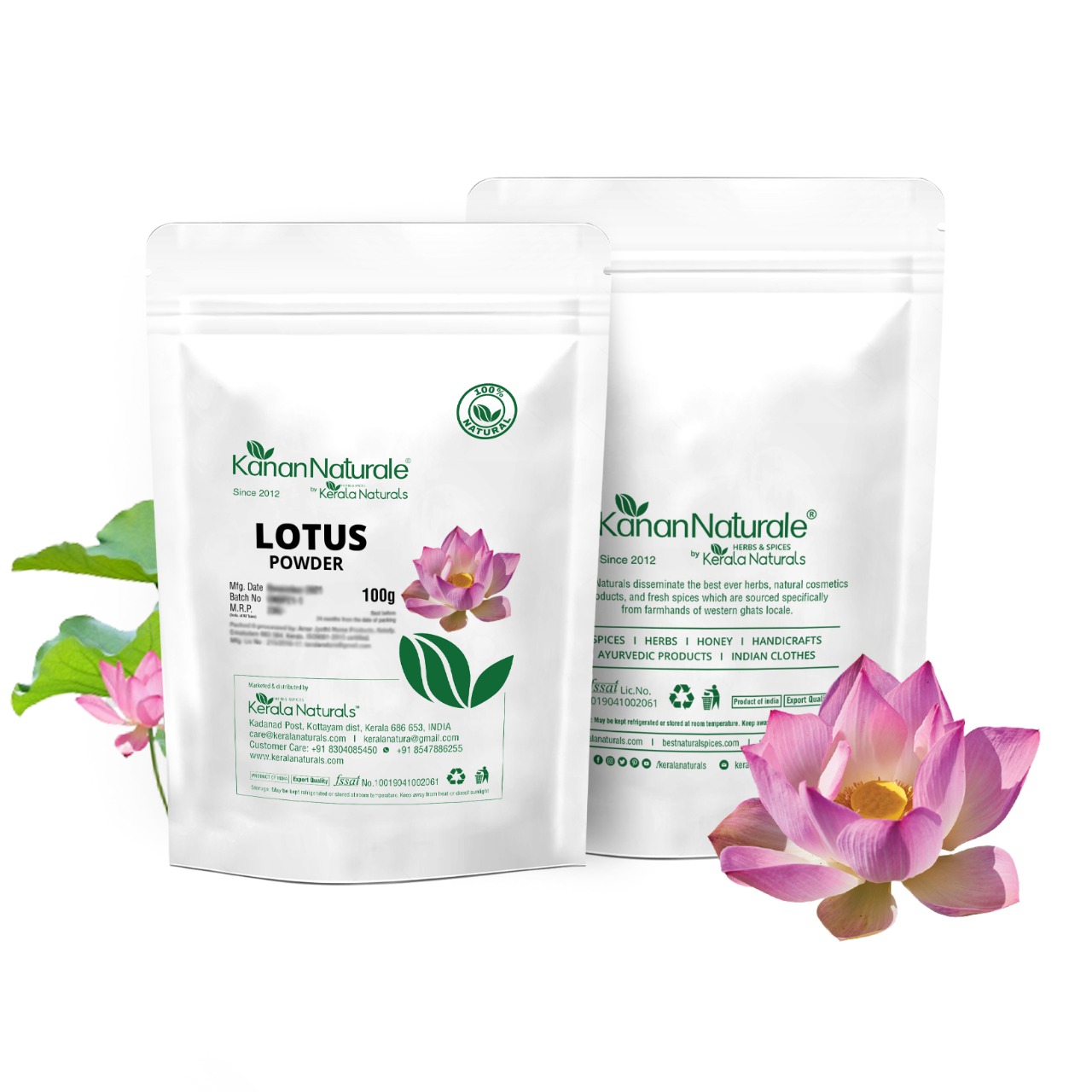 Lotus Flower Powder Blogs