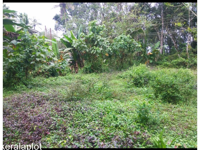 Residential Land For Sale In Karukachal House Plot For Sale In Vettikavumkal Kottayam Karukachal Kerala Real Estate Classified For Buy Sell Or Rent Properties In Kerala