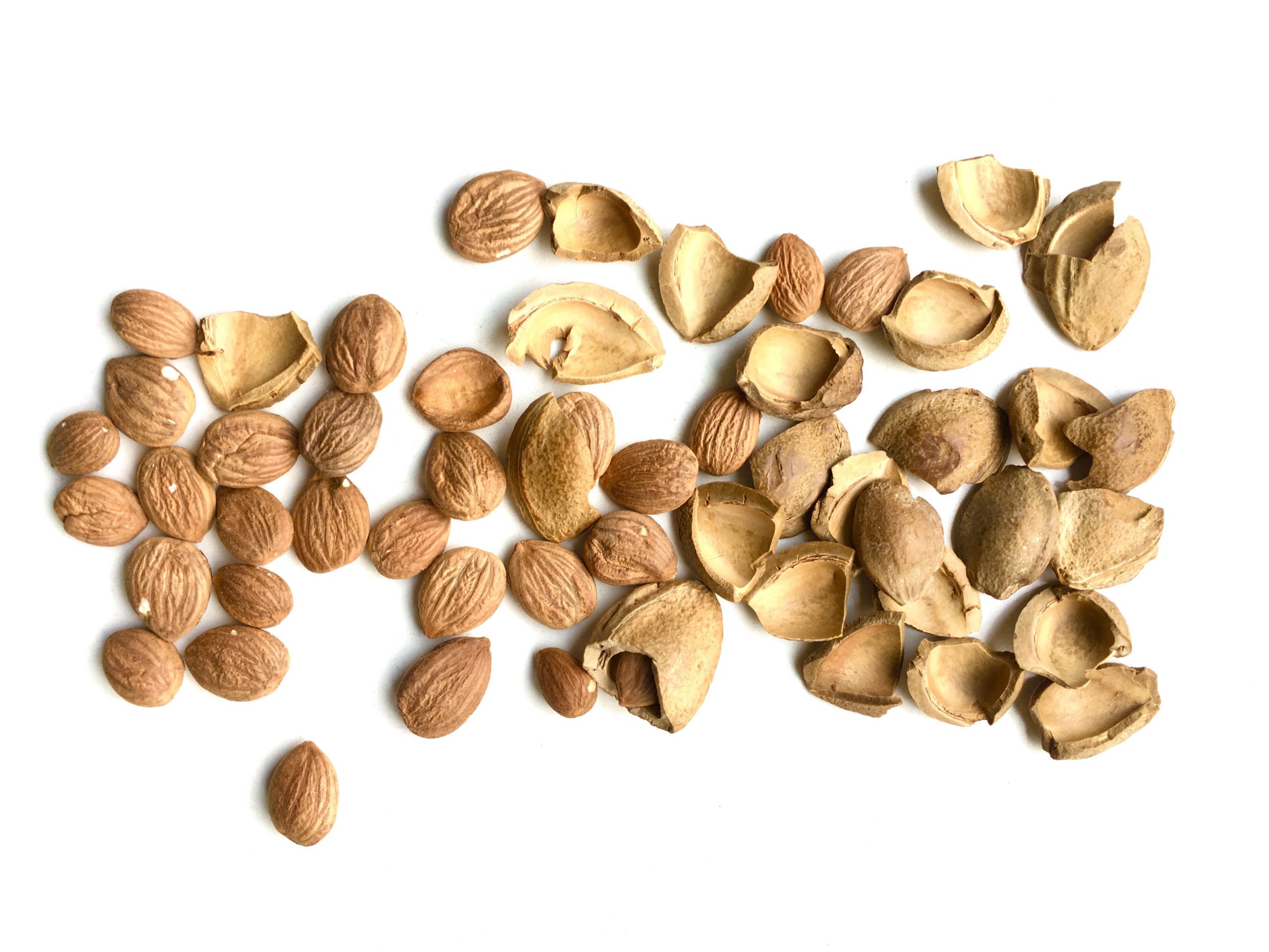 Aprikosenkernöl Kern Tec