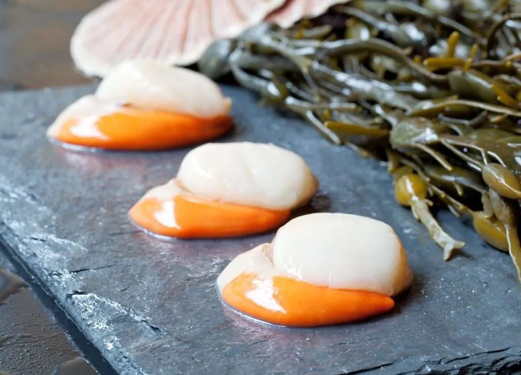 Scallops Frozen Pack Quinlan's Kerry Fish