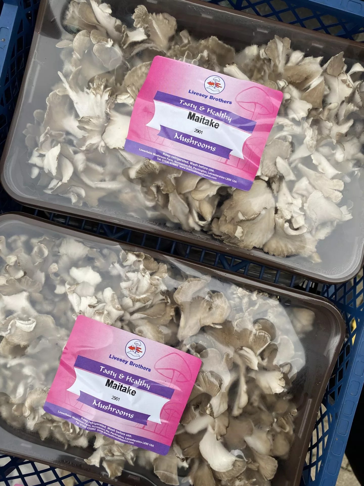 Maitake Mushrooms Per 500g Kerry's Fresh