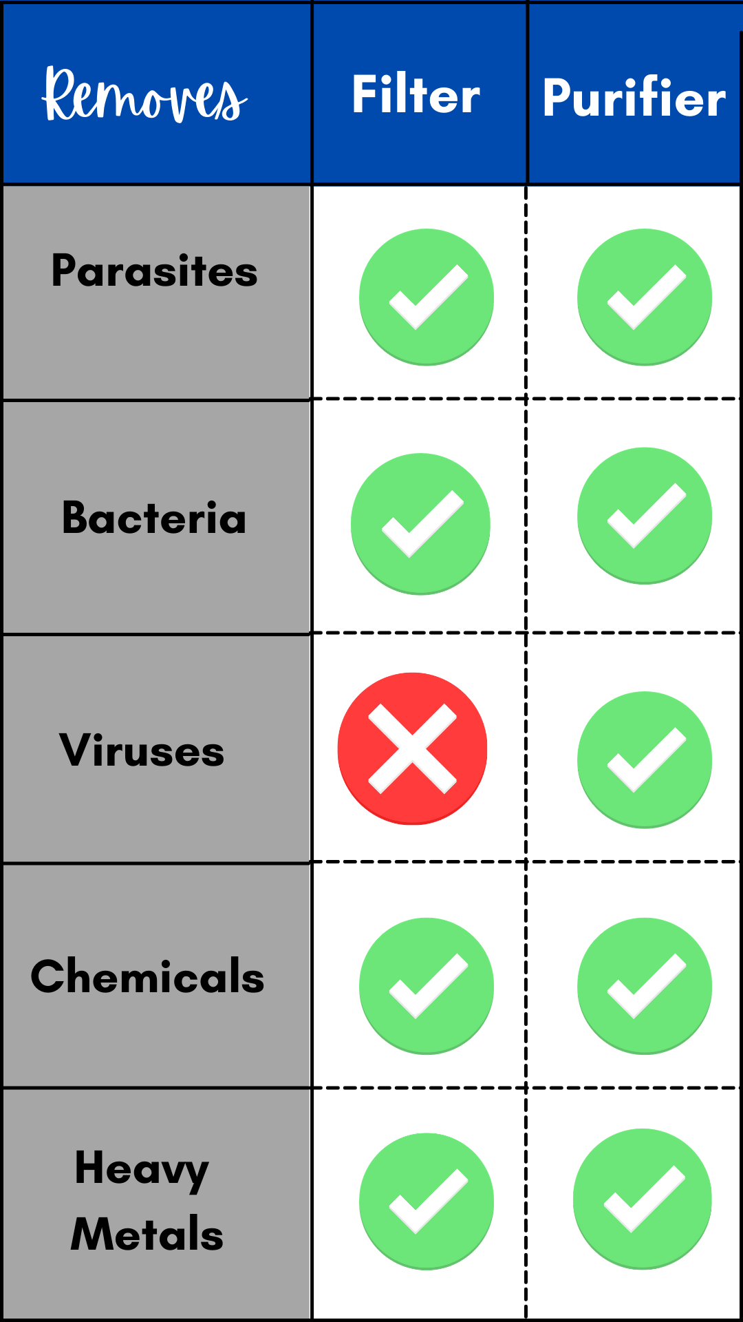 GRAYL Geopress Review The Best Filtered Water Bottle? Follow The