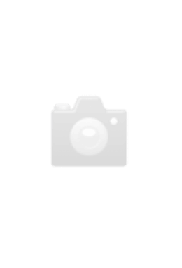 Diana 470 Kal. 4.5mm Luftgewehre E. Kesselring AG