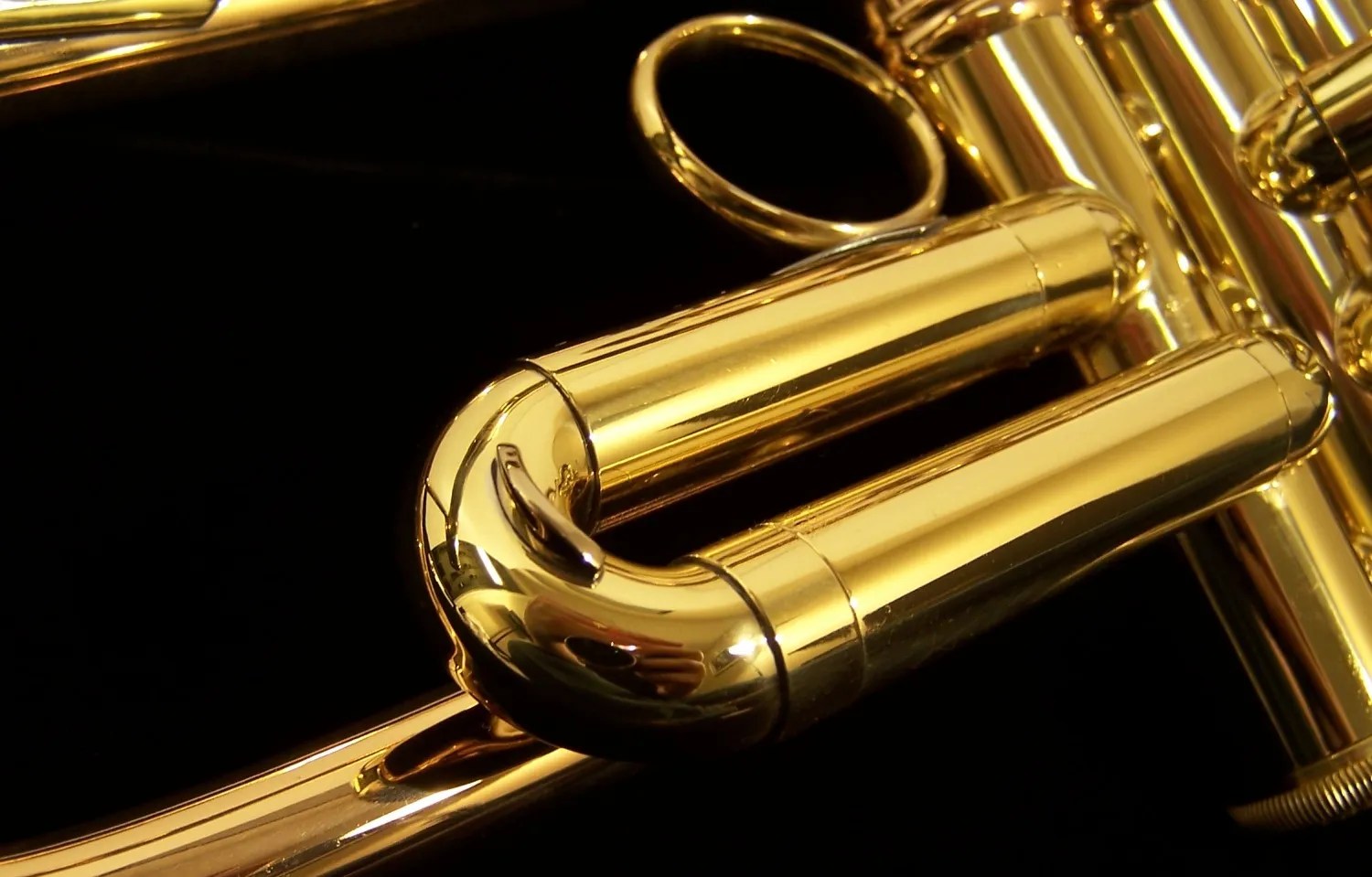 HandPicked Bach Commerical Trumpets with 1 Bell