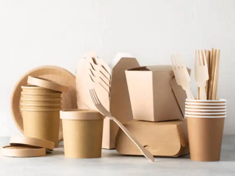 Business Essentials Cardboard vs Paperboard Comparison